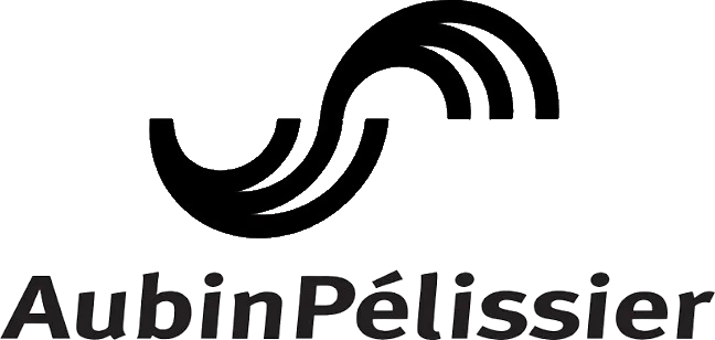 aubinpelissier removebg preview